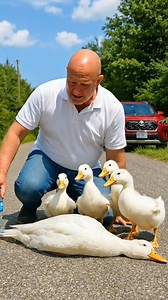 1M views · 24K reactions | Kind-Hearted Man Rescues an Unconscious...