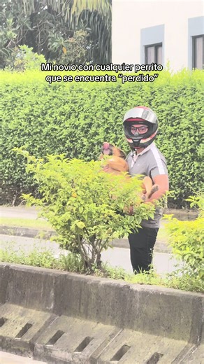 Encontrando mascotas perdidas con amor