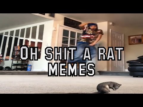 OH SHIT A RAT MEME COMPILATION