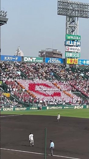2025 センバツ 智辯和歌山高校 アフリカンシンフォニー #甲子園 #ブラバン甲子園 #高校野球 #野球