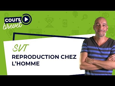 Brevet de SVT : reproduction chez l'Homme