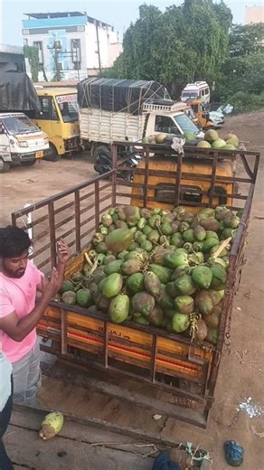 coconut unload struggle my friend