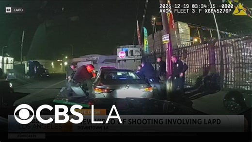 New LAPD-released video shows downtown LA shooting incident