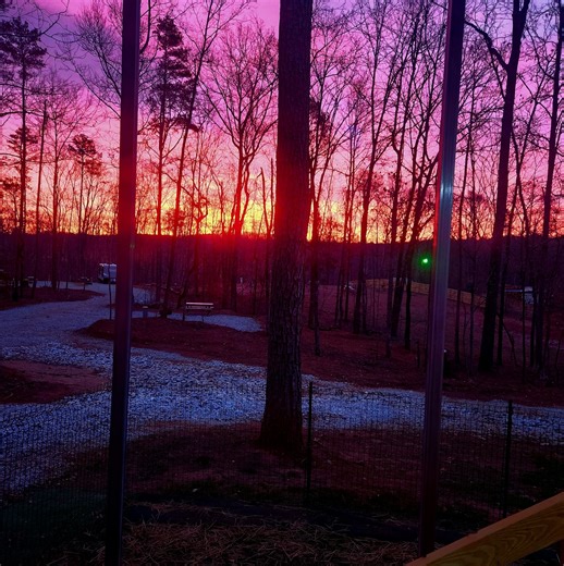 Camp Tails and Trails | Westminster SC