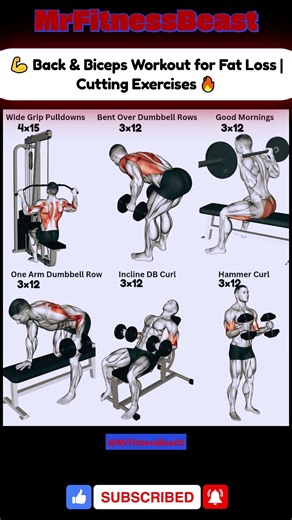 Back & Biceps Workout for Fat Loss | Cutting Exercises 💪🔥#BackWorkout #BicepsWorkout #CuttingWorkout