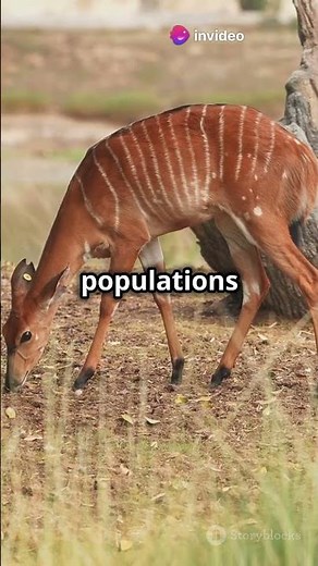 Life After Humans: A world without us!👨‍💼