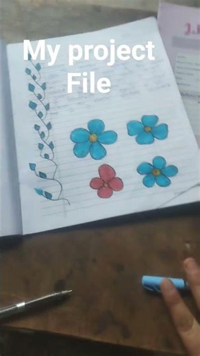 my project file 10th class ki Hindi