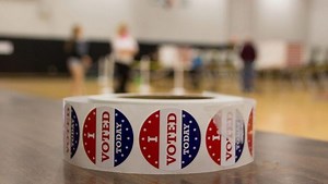 How to get a sample ballot for the November election in MA by mail or online