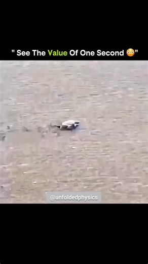 Unfolded Physics | A simple brush trick guides thread smoothly through the tiniest needle eyes 🧵✨ This clever method uses a small brush to align loose fibers... | Instagram