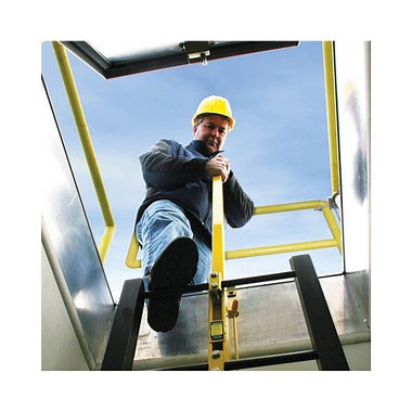 LadderUP Safety Post, Aluminum - Bilco