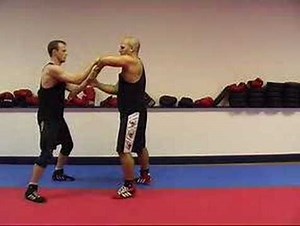 Alan Orr: NHB Wing Chun DVD: Extreme Chi Sao 1