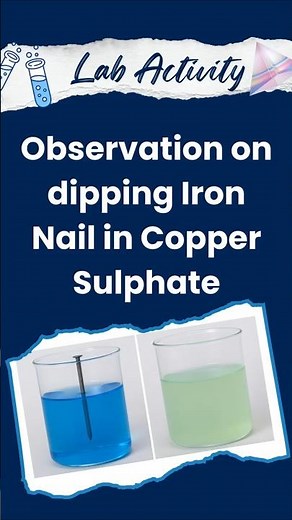 Iron Nail in Copper Sulphate Solution | Class 10 Chemistry Experiment #scienceshorts #dtchelp