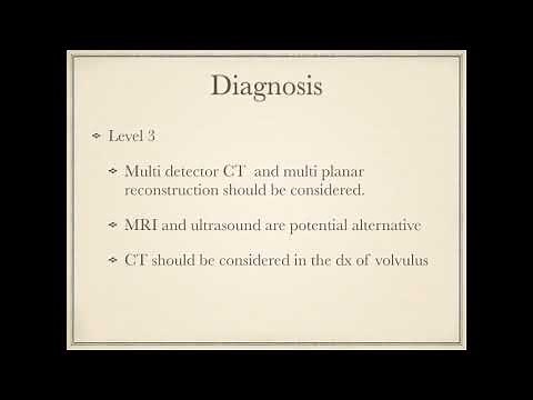 PMG - Small Bowel Obstruction