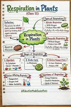 Respiration in Plants Class 11 | Aerobic & Anaerobic Respiration Mind Map Explanation NCERT Biology