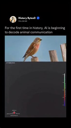 History Bytes on Instagram: "For the first time in history, animal sounds are becoming data! 🐦‍⬛ This visualization shows how AI analyzes vocalizations by mapping pitch, rhythm, repetition, and tone into multidimensional space. Patterns emerge where noise once seemed random—signals tied to alarms, coordination, mating, and awareness. AI isn’t translating language yet, but it’s detecting meaning through timing and frequency beyond human perception. At scale, it can process thousands of calls acr