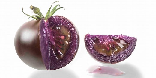Scientists turn tomatoes purple to make them more nutritious