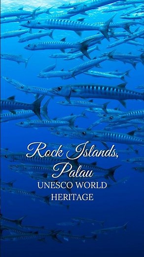 UNESCO WORLD HERITAGE SITES - Rock Islands Southern Lagoon, Palau 😍