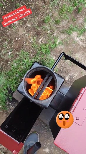 Hermosa Llama en Estufa de Pellets: Eficiencia y Estilo