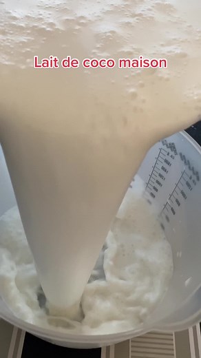 Lait de Coco Maison - Tutorial de Cocorape Pour Toi