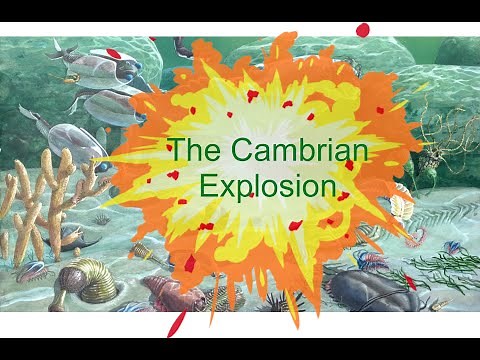 The Cambrian Explosion: evidence and uncertainty over palaeontology's greatest mystery