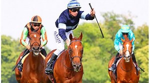 Simca Mille, un bolide né du flair du Haras de la Perelle et des mythiques souches Aga Khan