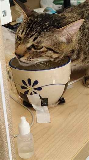 假裝喝水的卡車 | Mu Wen