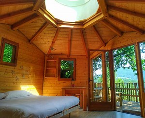 Cabañas en los árboles : La cabaña del roble