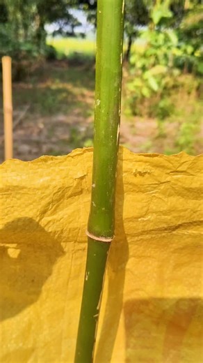 Knot king on Instagram: "Great handy tricks... #handytricks #knottying"