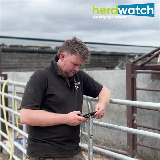 Our Brand New FREE Farm Mapping Service ✔️ Map your farm for FREE with the Herdwatch app. ✔️ A simple way to create a map of your farm using satellite imagery. ✔️ Name your fields, measure them & colour code by purpose. ✔️ Create Paddocks & Spray records for farm compliance. ✔️ Herdwatch - Eliminate farm paperwork and make better decisions. | Herdwatch