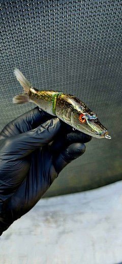 #alien_predator_lures #fishing #lure #lurefishing #predatorfishing #perch #pike #perchfishing #pikefishing #custom #lures #riverfishing #fishinglure #handmade #paint #wood #water #river #handcrafted #luremaking #lurebuilding #handmadelures | Bruce Dobbo