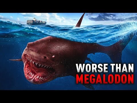 New Prehistoric Killer Found That Could Rip Into Megalodon’s Underbelly