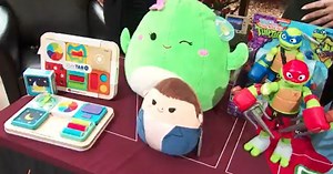 Holiday shopping | Top trending toy of 2024