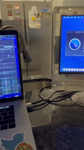 RIP Mac: My Cat Jumped on My MacBook Pro!