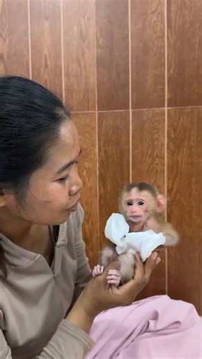 Baby Monkey Rescue Foundation Every little rescued baby monkey is a tiny angel sent to remind us how powerful love and kindness can be. Many of them come to us weak, scared, and lost, searching for warmth and safety. When we hold them close and feed them milk, they begin to trust again. Their eyes start to shine, their tiny hands hold ours tightly, and we know that they finally feel loved. These little angels deserve a chance to grow, play, and live without fear. With your help, we can give them