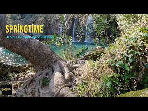 4K Cinematic Spring Waterfall in Lush Forest | Vibrant Nature & Silent Stock Footage