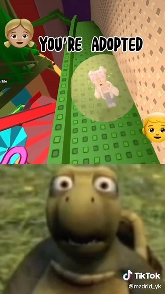 Funny Turtle Meme Compilation 2020