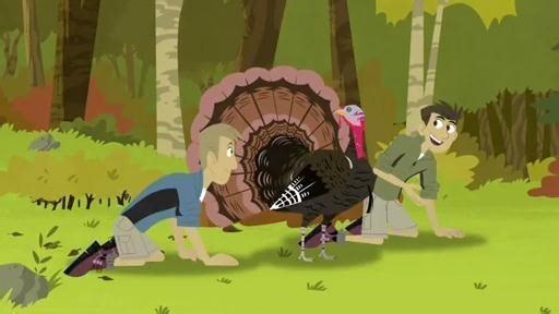 Wild Kratts - Activate Turkey Power! Video | PBS KIDS