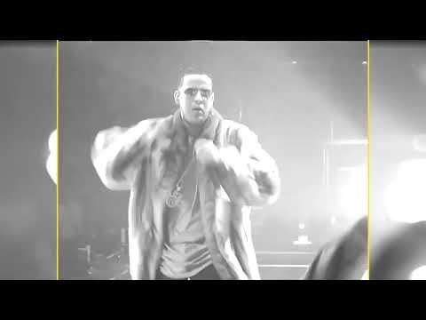 96 BPM Dale Caliente | In Suena El Bajo | Daddy Yankee 22K Full HD
