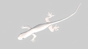 Low poly geko lizard - Download Free 3D model by Tiberiu Uncu (@pangolinbc)