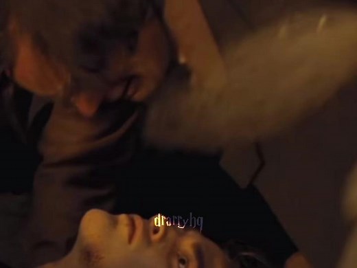 Heartbreaking Tribute to Cedric Diggory and Amos Diggory