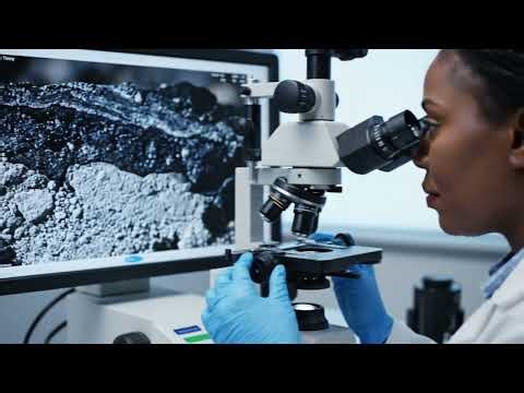 Life Million Years Ago | Unearthing Prehistoric Agriculture: First Gardens and Their Societal Impact