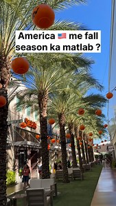 39K views · 1.4K reactions | America  me fall season ka matlab ? #america #fallseason #pumpkinvibes #fallinamerica #indiansinusa #usavlog #phoenixlife #pumpkinseason #dailyreel #sarikainamerica | Sarika In America | Facebook