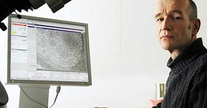 Bone formation achieved in laboratory