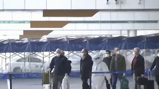 WHO team in Wuhan to begin investigating Covid origins