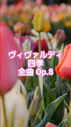 #84 🎻 アントニオ・ヴィヴァルディ | 四季 全曲 Op.8 No.1〜4 | バロック時代 #classicalmasterpiece #クラシック名曲