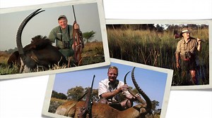 2K views · 67 reactions | Take a look at the CZ 550 Safari Magnum that CZ and I put together. CZ-USA incorporated my suggestions and I am very pleased with the product. | Craig Boddington | Facebook