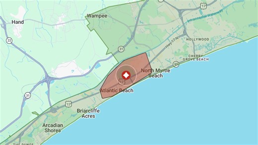 Balloon responsible for Horry Co power outage