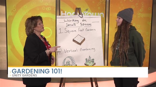 Grow gardening roots in any space with Unity Gardens