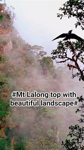 Mt Lalong natural views ✨️, orchids landscape in PNG
