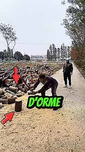 Bûcherons VS Orme : Le défi impossible à la hache #bucheron #defi #hache #impossible #solide #bois | Souviens-toi